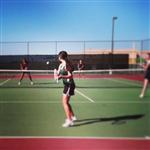 3/7/13 - Basha v. Hamilton